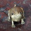 Grenouille d’Afrique en bronze