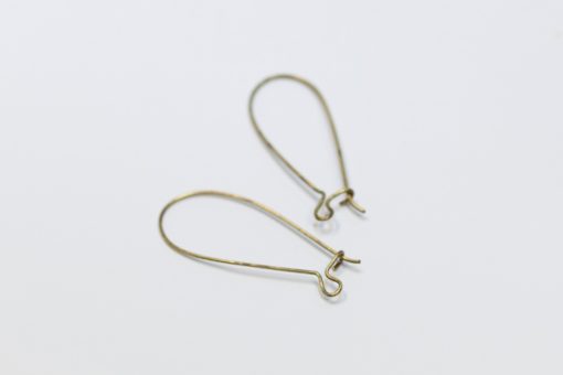 Crochets d'oreilles en bronze