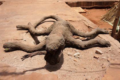 Le bestiaire fantastique d'Aké O'Lokan