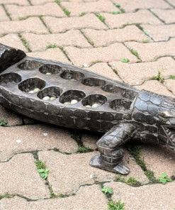 Jeu d'Awalé Crocodile de Côte d'Ivoire