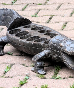 Jeu d'Awalé Crocodile de Côte d'Ivoire